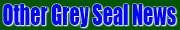 Other Grey Seal News