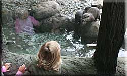 Children admiring the Otters