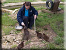 Hollie feeding Summer and Cubs