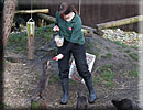 Otter