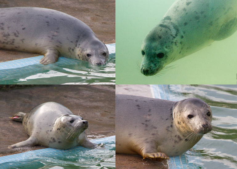 Paloma - photo taken on 23rd November 2012