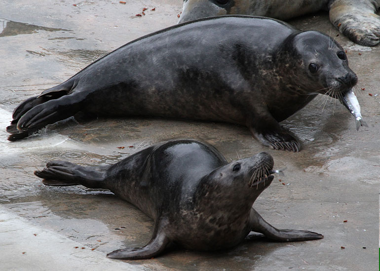 Photo of Paul Watson taken on 4th April 2012