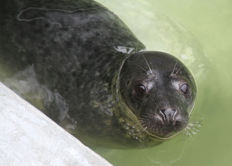 Photo of Paul Watson taken on 31st December 2011