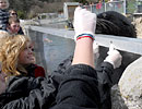 Pirate FM's girlband 'Eden' doing target training with the fur seals