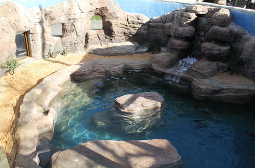 Penguin enclosure