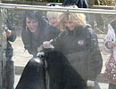 Pirate FM's girlband 'Eden' doing target training with the fur seals