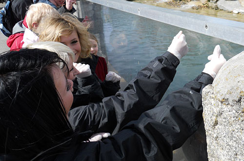 Pirate FM's girlband 'Eden' doing target training with the fur seals