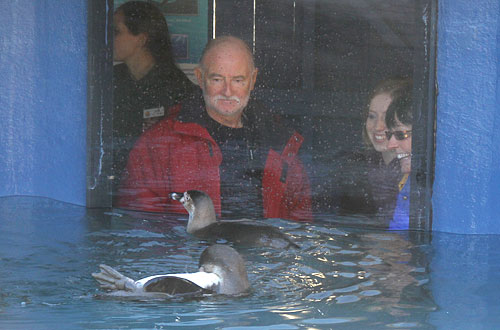 Penguin enclosure