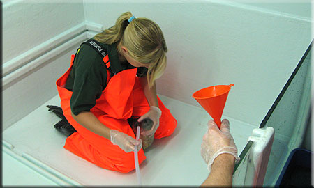 Corn, a rescued common seal pup (2008/9 season), being tube fed with liquidised fish by Kristy