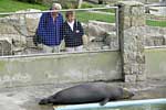 Ray sunbathing! Photo was taken by Joyce Williams