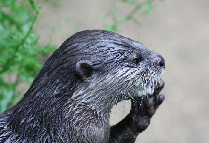 Photo copyright of Rebecca Chinn