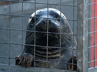 Sam - Photo was taken by Simon Bone