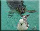 Photo was taken by Richard Crowe