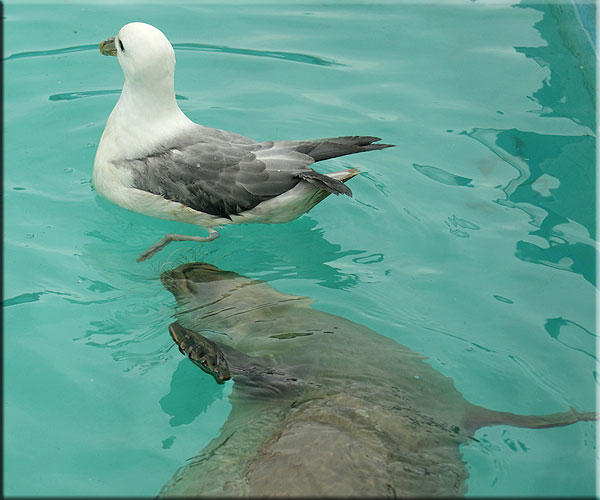 Photo taken by Richard Crowe