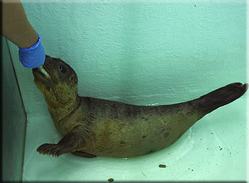 Robbie enjoys one of his fishr