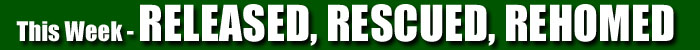 Released, Rescued & Rehomed