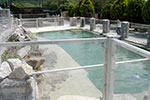 Seal Bay is finished