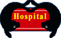 Seal Hospital
