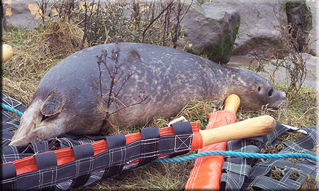 Seal Release