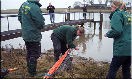 Seal Release
