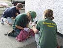 Skittles being tube-fed with fluids by the Animal Care Team within the grounds Heliport at Penzance on 13th September 2008