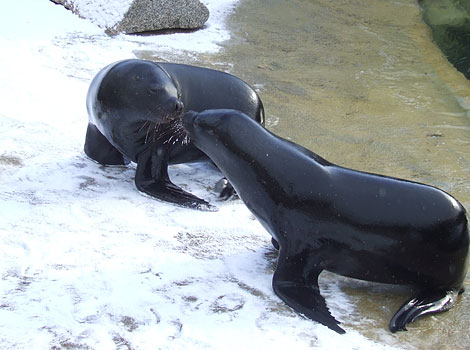 I don't think it was this cold in Spain, was it?