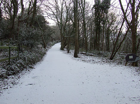 Lane to the hospital