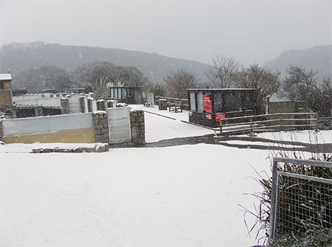 View to pup rehabilitation