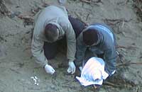 Volunteers from BDMLR catch Speckle - Photo was taken by Sue Sayer