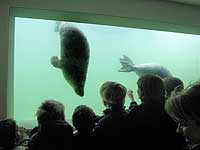 One of the underwater viewing windows