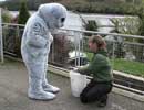 Wally tries to pinch a fish during feeding time!