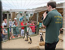James in the penguins sanctuary