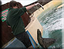 Elliot feeding Tyne