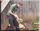 Rob doing obedience training with one of our Otters