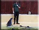 Rob with Sally