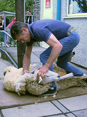 Michael sets to work on Stanley