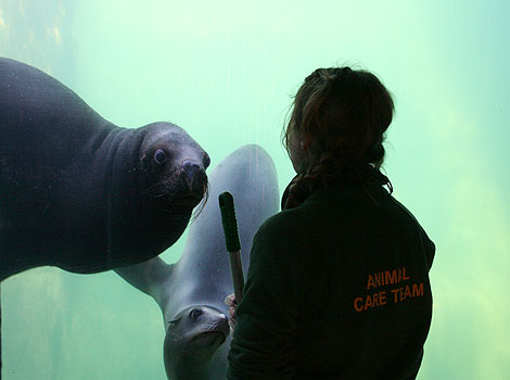 Tamara target training Noitio (left) and Andre (right)
