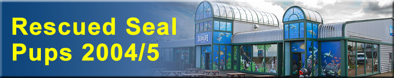 [Rescued Seals]