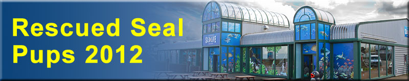 [Rescued Seals]