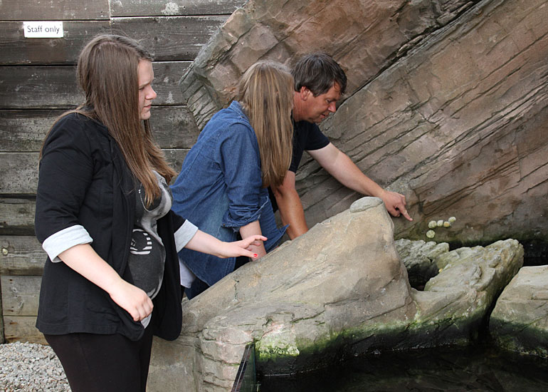 VISITORS INTERACTION