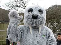 Wally Walrus