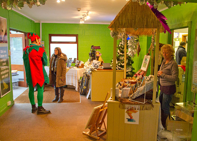 Christmas Fayre 2012